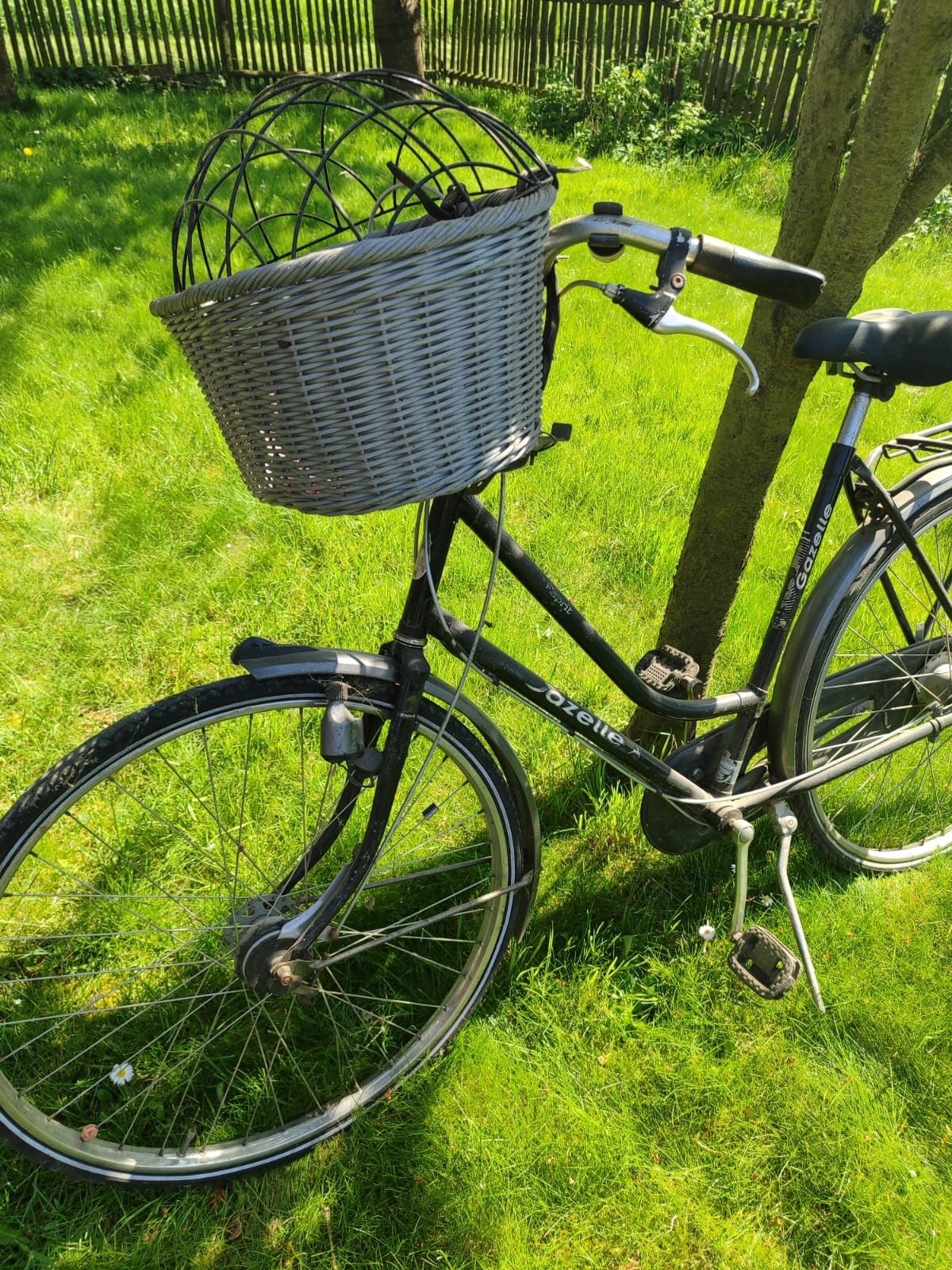Gazela rower koszyk gratis