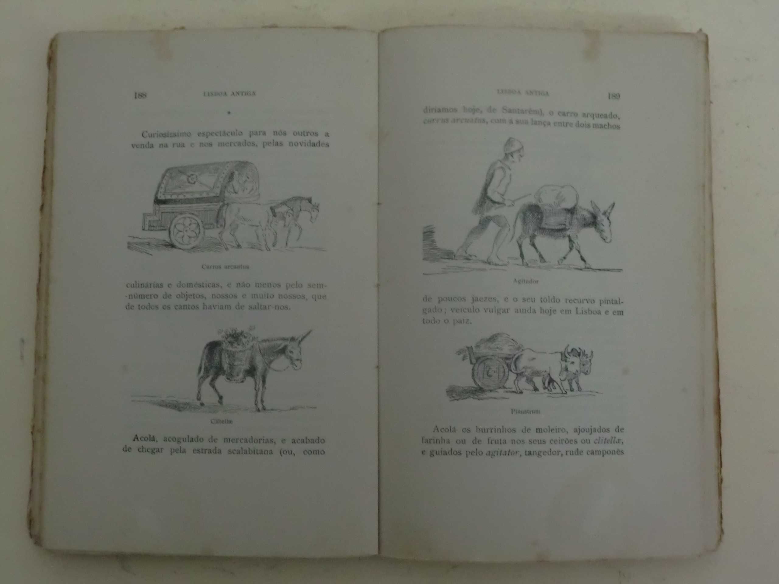 Lisboa Antiga - Bairros Orientais
de Júlio de Castilho