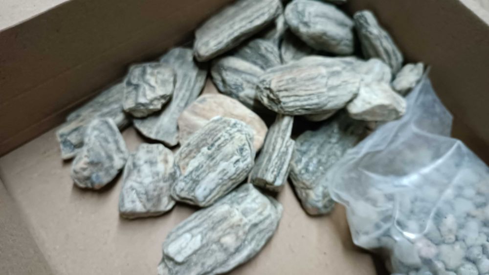 Las w słoiku - zestaw do samodzielnego przygotowania