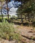 Terreno de 770 m² no Sector E – Urbanização Vale da Telha