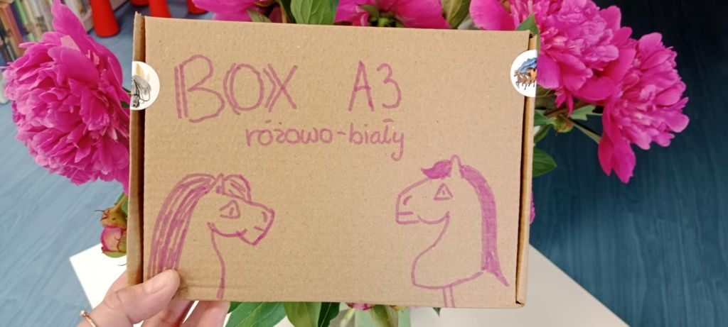 MYSTERY BOX hobby horse A3