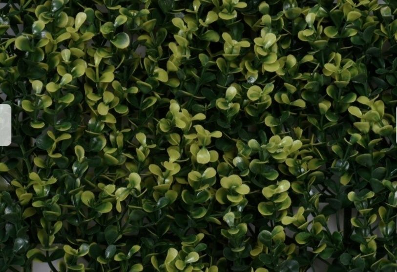 Jardim vertical .