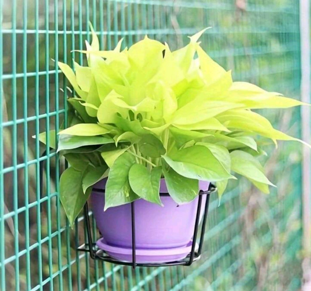 Suporte para pendurar vasos de plantas