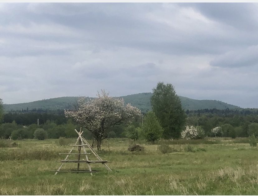 Земельна ділянка