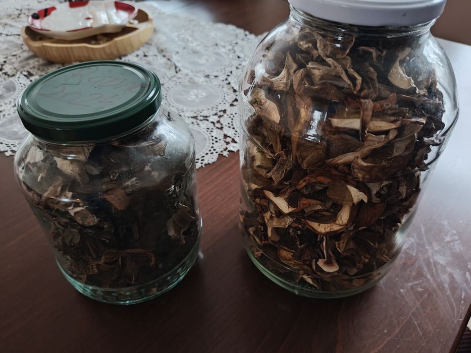 Grzyby suszone podgrzybki mieszane borowik