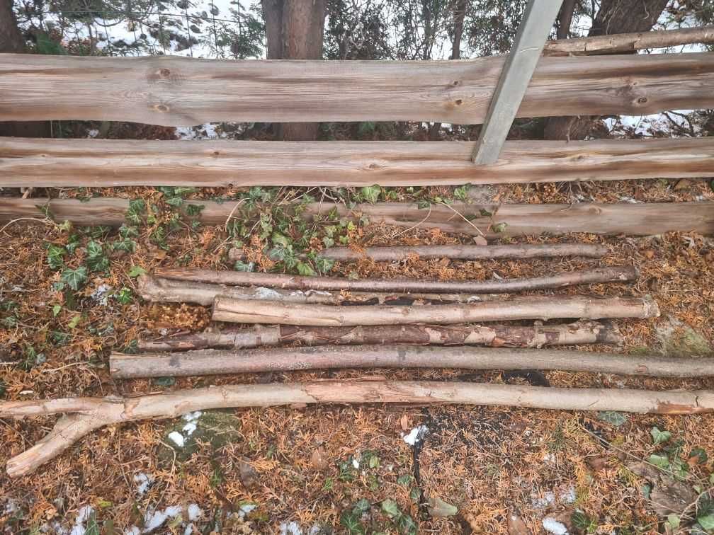 Drewno z wycinki ogrodowej
