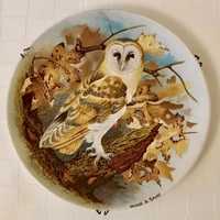 Dostojna SOWA COALPORT Kolekcjonerski Talerz Porcelanowy Ptaki Vintage