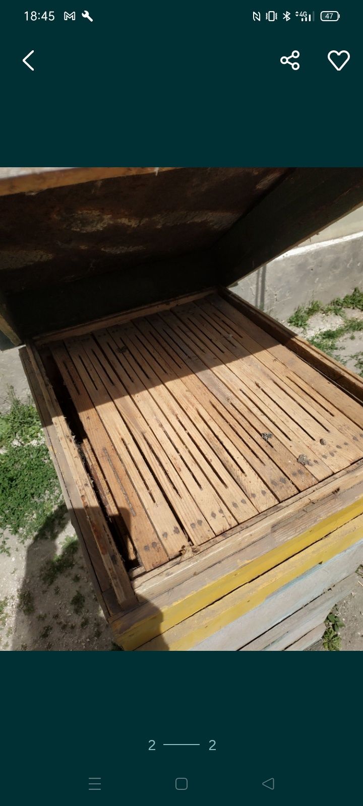 Вулики, бджоли, пасіка