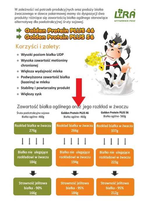 Golden Protein Plus 46%, Poekstrakcyjna śruta rzepakowa