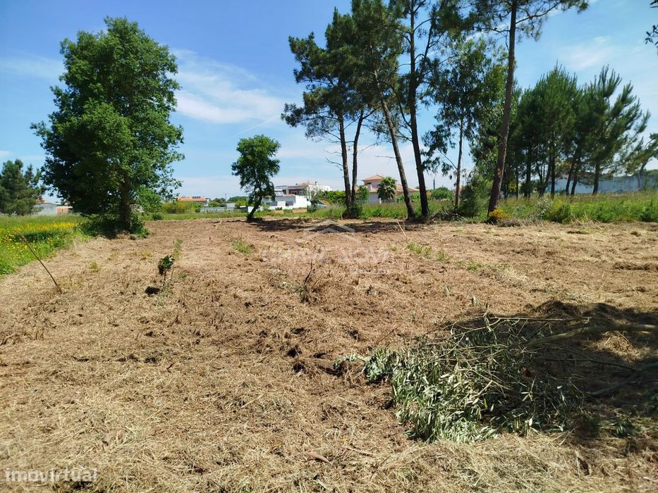 Terreno Urbano à Venda em Ouca – 47 000€