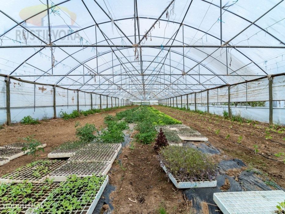 OPORTUNIDADE | Terreno com estufas e armazém para exploração agríco...