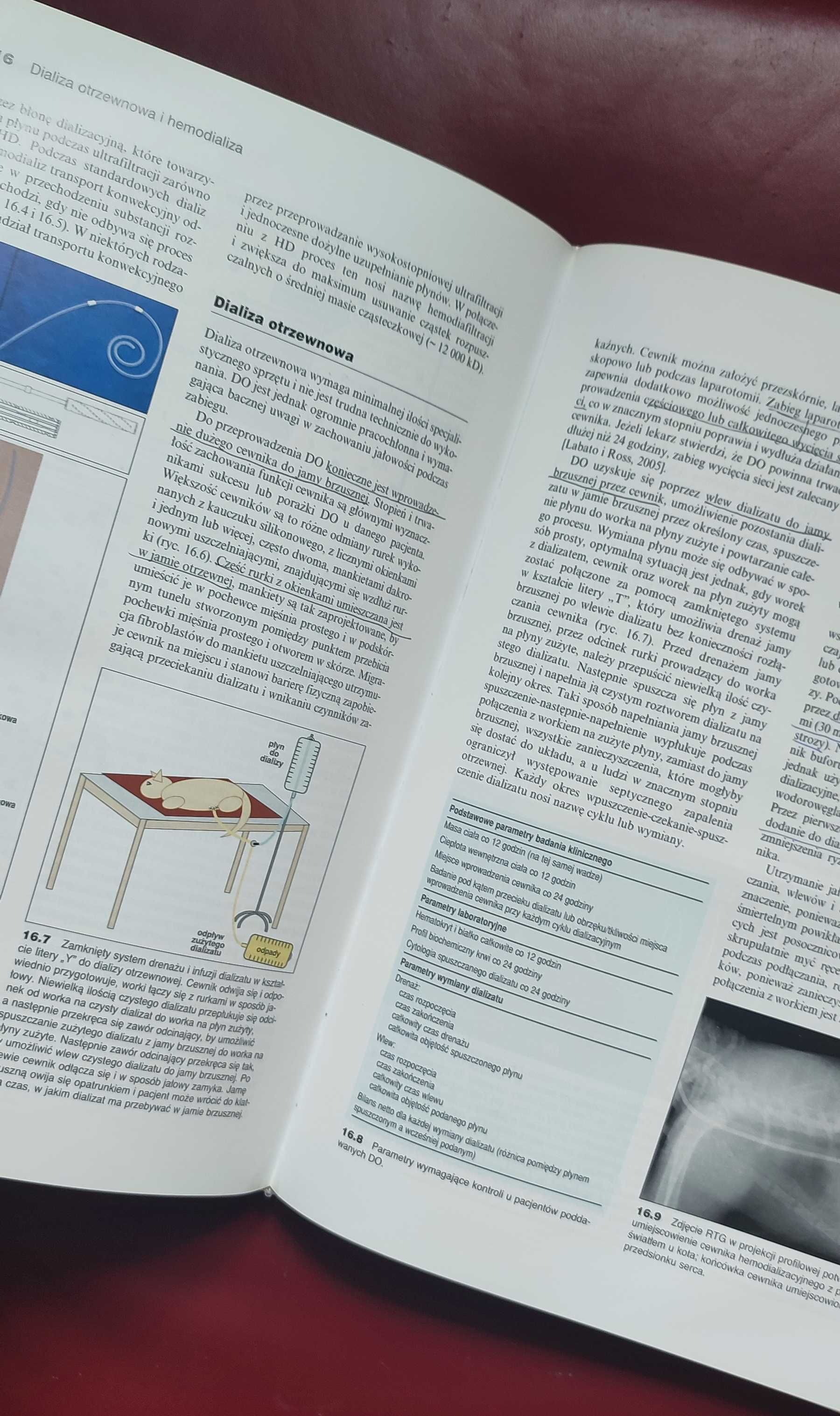 Nefrologia i urologia psów i kotów Elliott Grauer