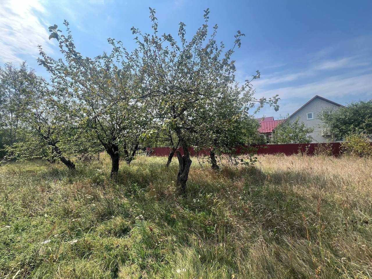 Продаж ділянки 22 сотки під забудову. Світло.Газ.Криниця. ТОРГ. ID:613