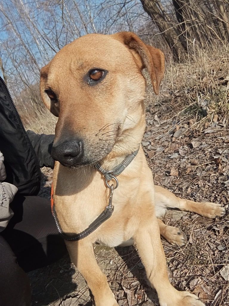Rudi pragnie zamieszkach ze swoją rodziną