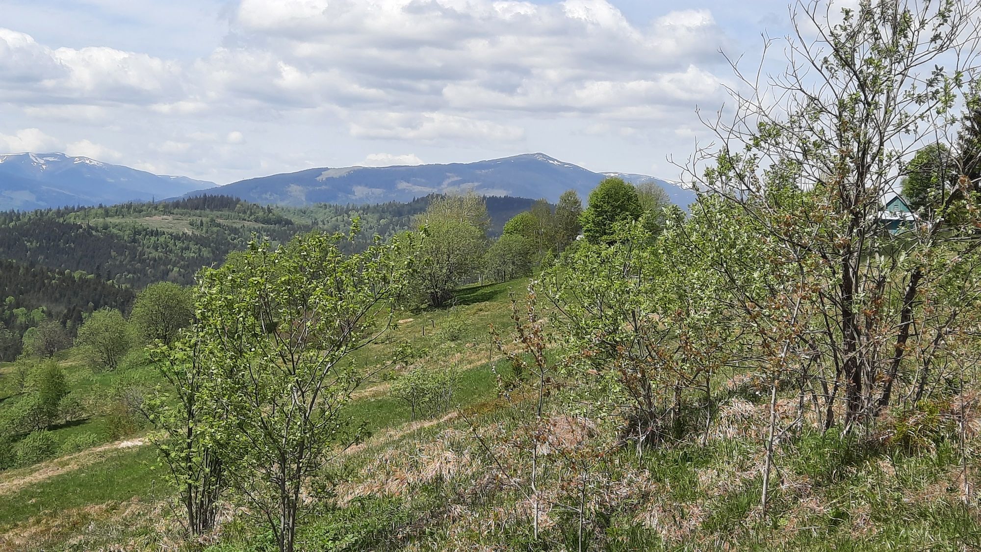 Говерла, Петрос. Найвища точка пагорба
