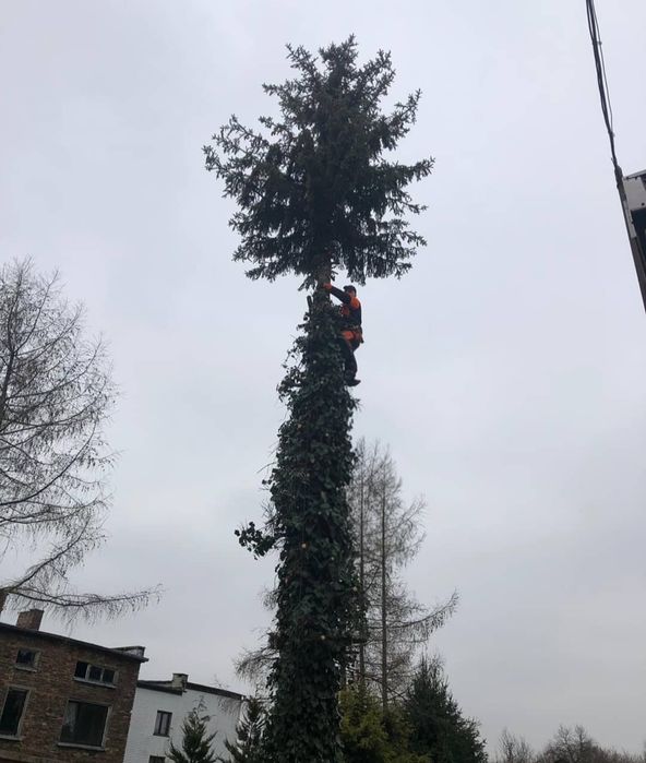 Wycinka drzew, koszenie trawników karczowanie trudno dostępnych miejsc