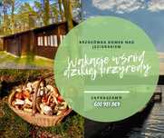 "Brzozówka" domek letniskowy Makowo k.Iławy jezioro Mazury, las