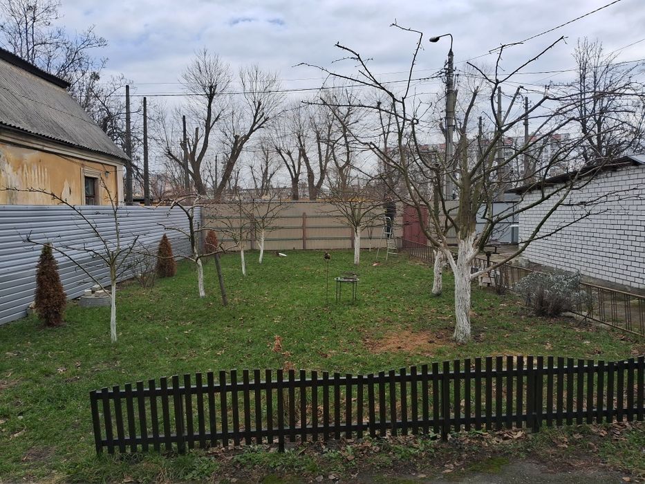 Спил дерев та обрізка саду