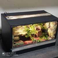 Terrarium tropikalne z wyposażeniem 50x30x30