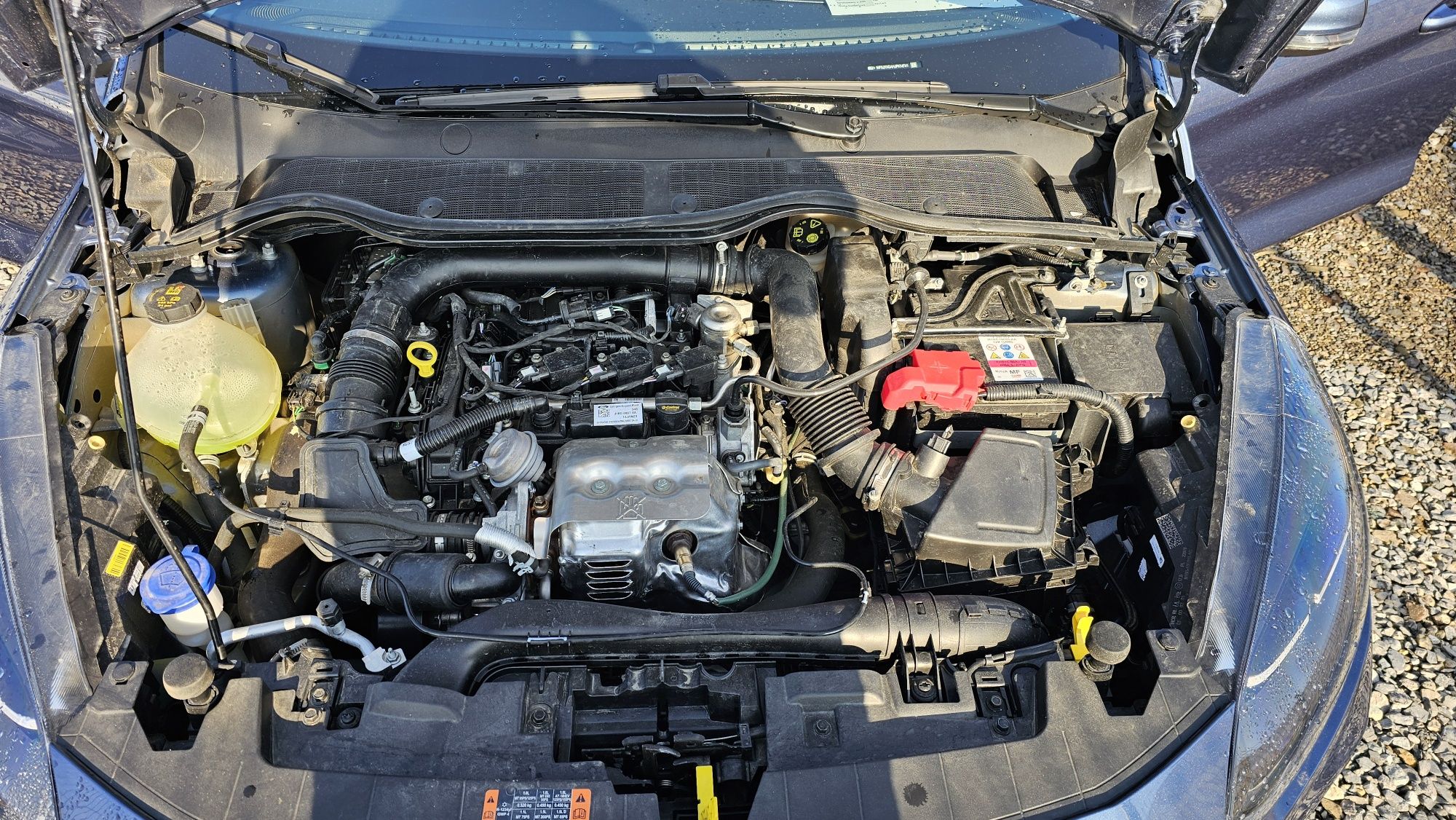 Pomoc w Zakupie Auta Samochodu - Rzeczoznawca - Sprawdź Auto