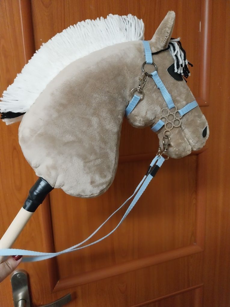 Konik hobby horse Fiord