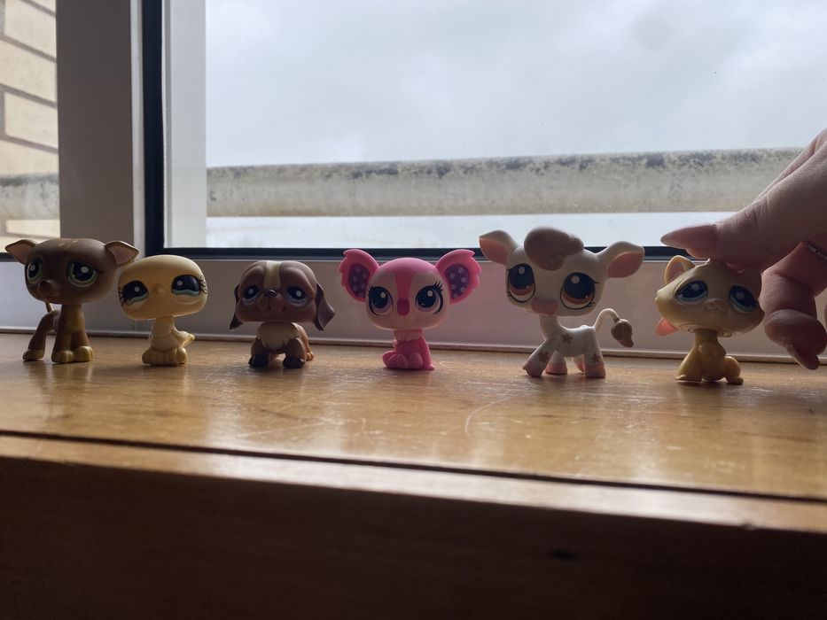 Little Pet Shop e gatos e minions