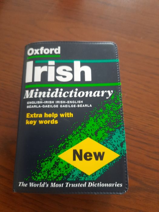Mini słownik irlandzki