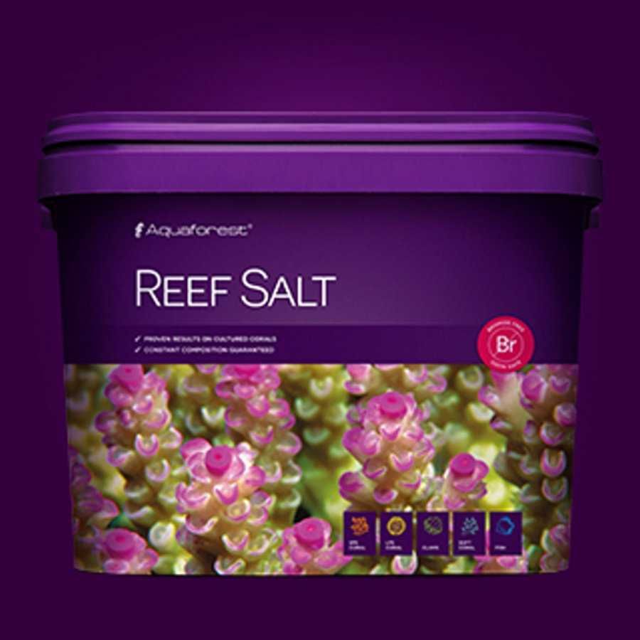 Reef - Sal Aquaforest