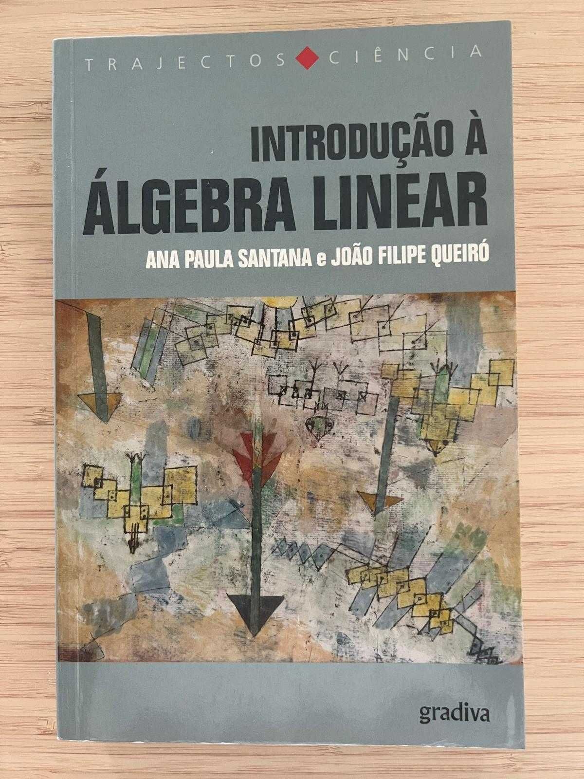 Introdução à álgebra linear