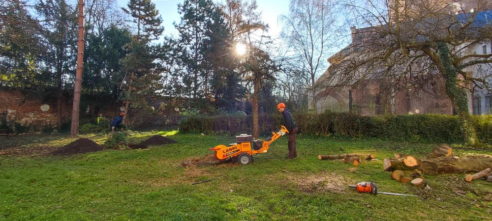 FREZARKA DO PNI, karczownik, frezowanie pni