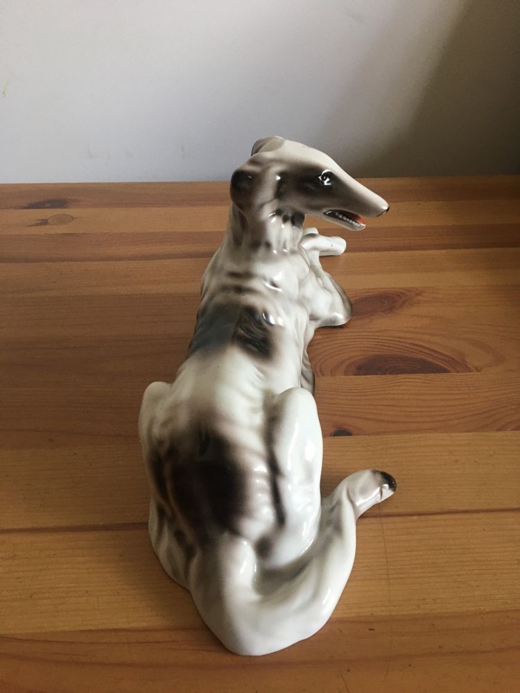 Pies porcelana Walbrzych