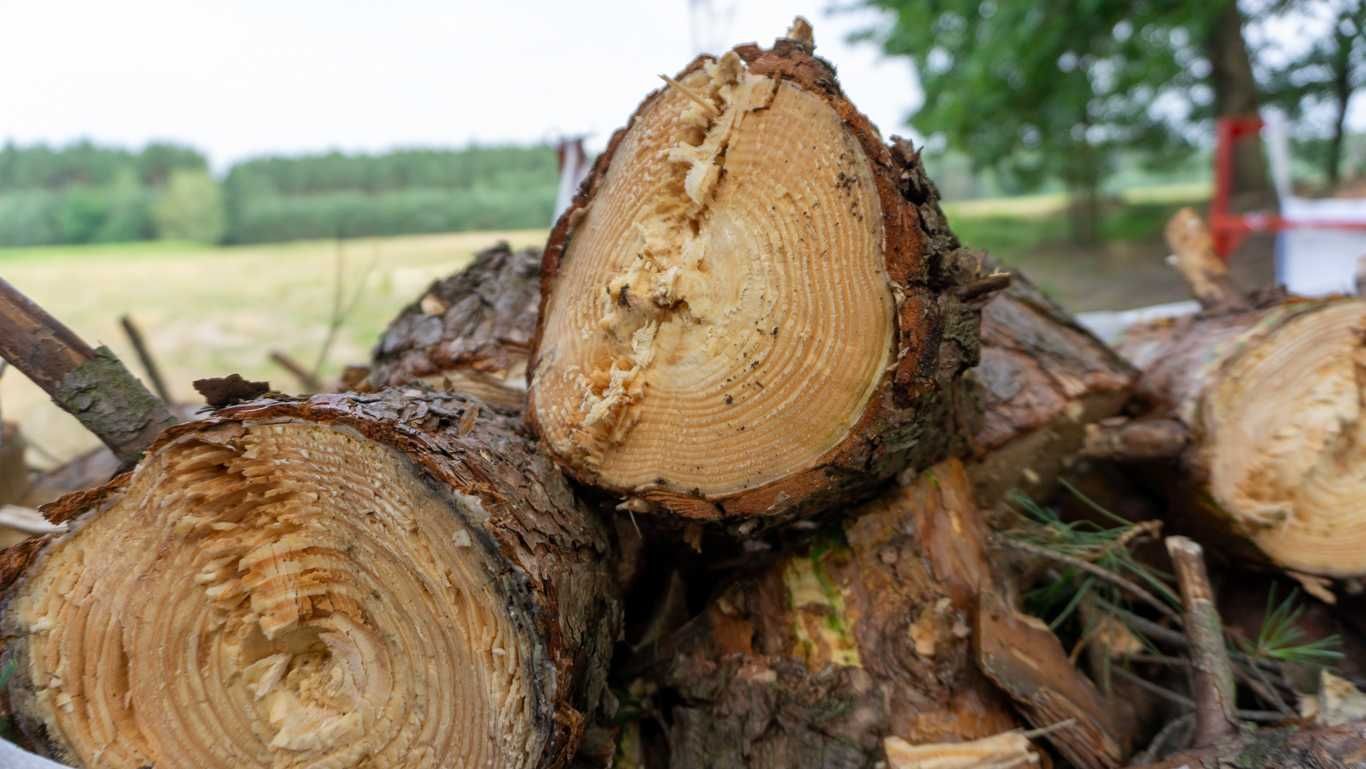 Rębak do gałęzi REMET RP-200 SUPER === rębak walcowy === 17CM