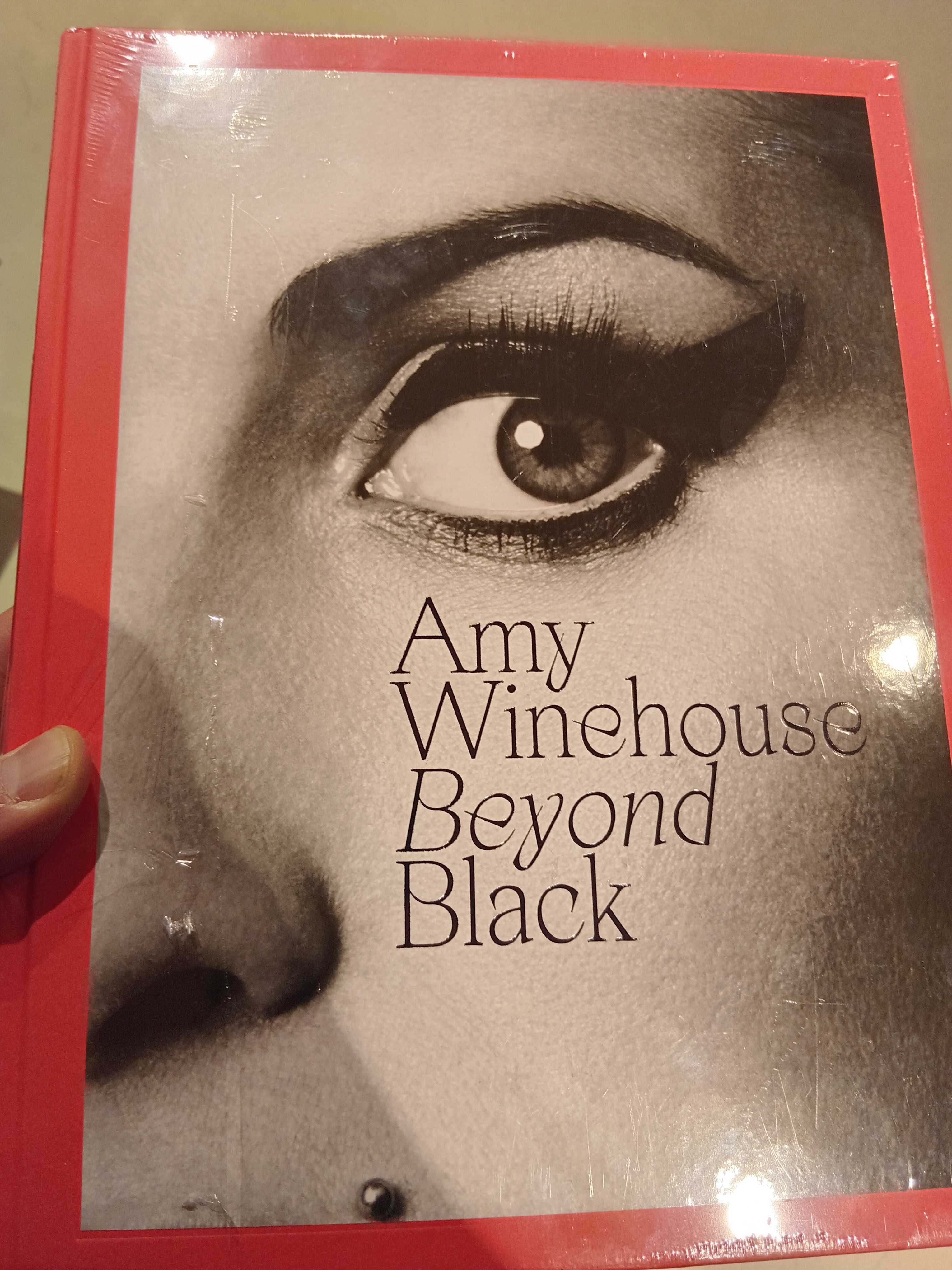 Livro ilustrado Amy Winehouse