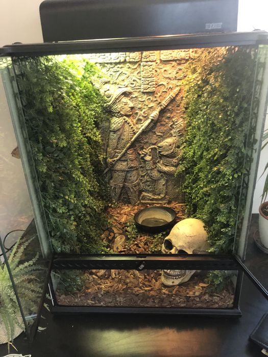 Terrarium Exo Terra