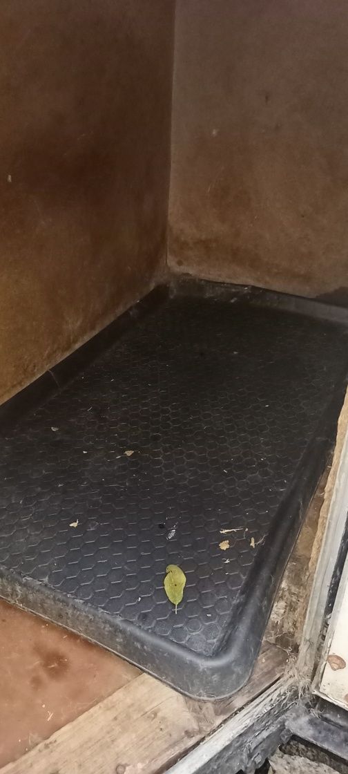 Atrelado  cães 2 divisórias