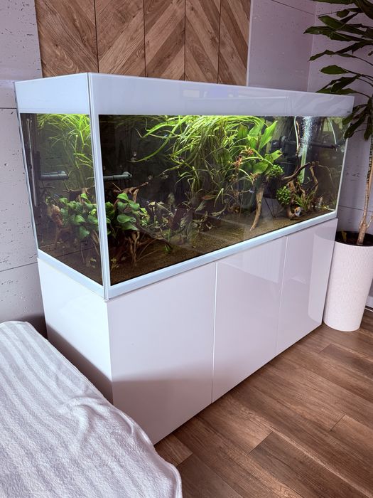 Sprzedam Roczne Akwarium !! Zestaw AQUAEL GLOSSY Białe 405L
