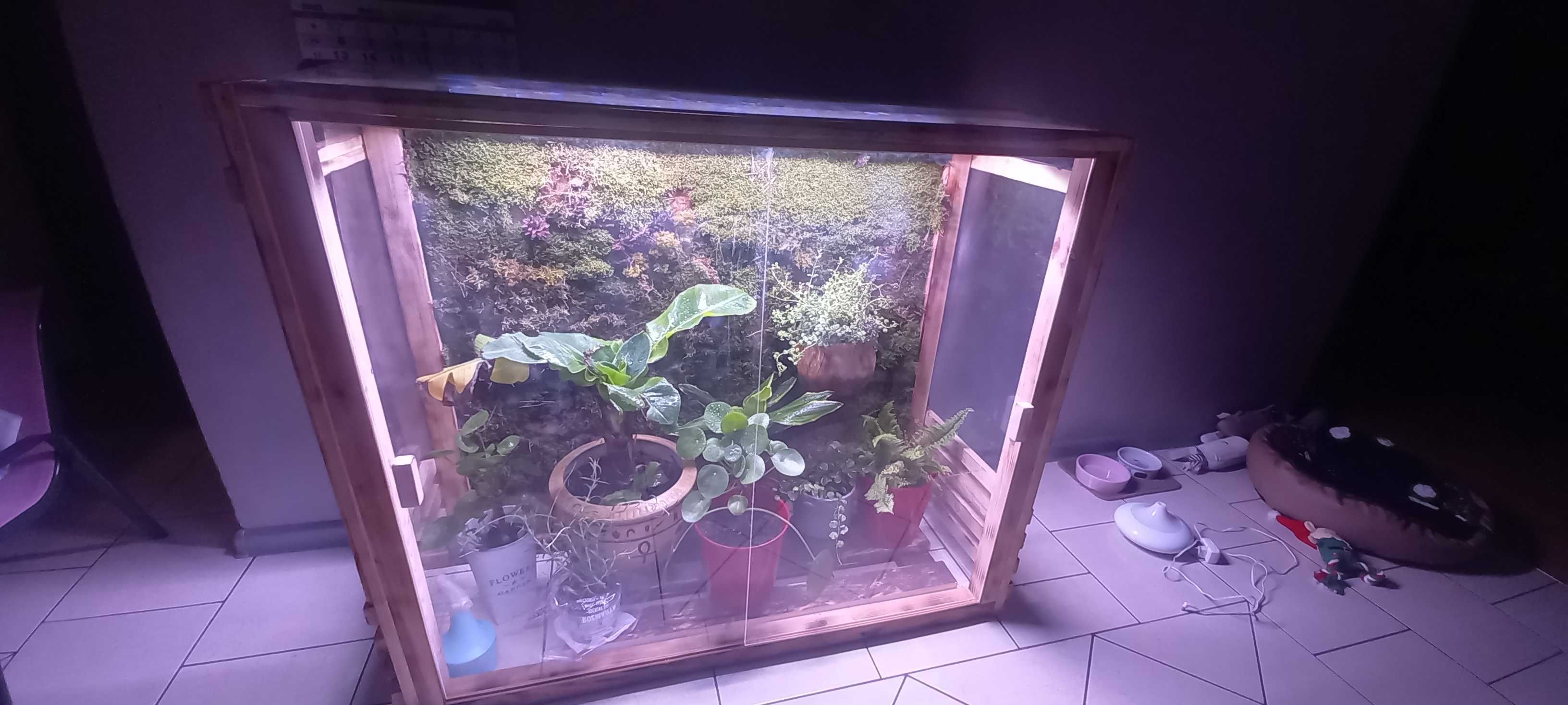 Terarium na wymiar kameleon gekon agama