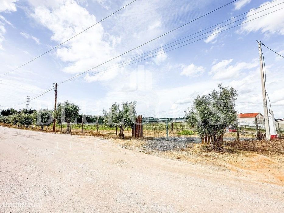 Terreno Rústico com Vinha e PIP Aprovado - Palmela