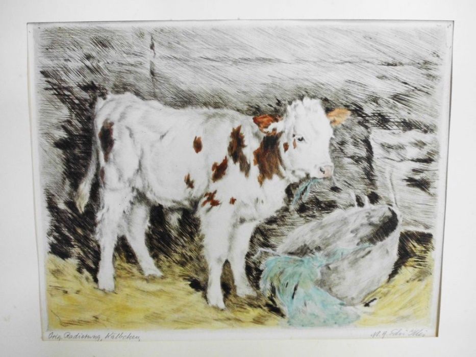 Bezerro-original gravura a água forte sobre papel artesanal-assinada