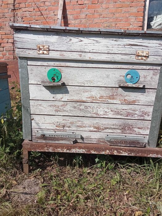 продам бджоли з вуликами