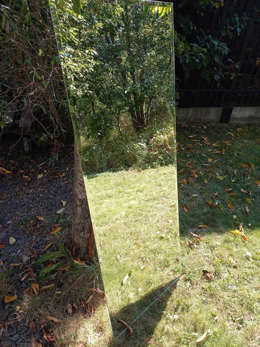 Lustro Dubiel 50x123 cm