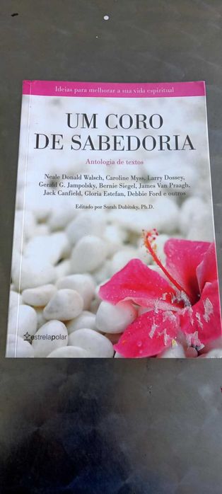 Livros vários de autoconhecimento. Outros temas.