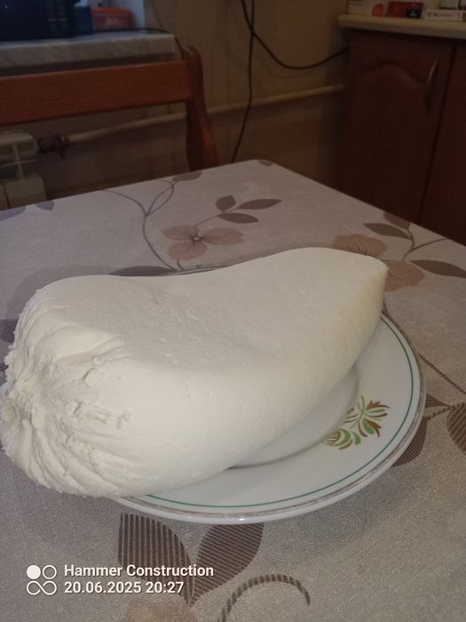 Jajka od kur z wolnego wybiegu