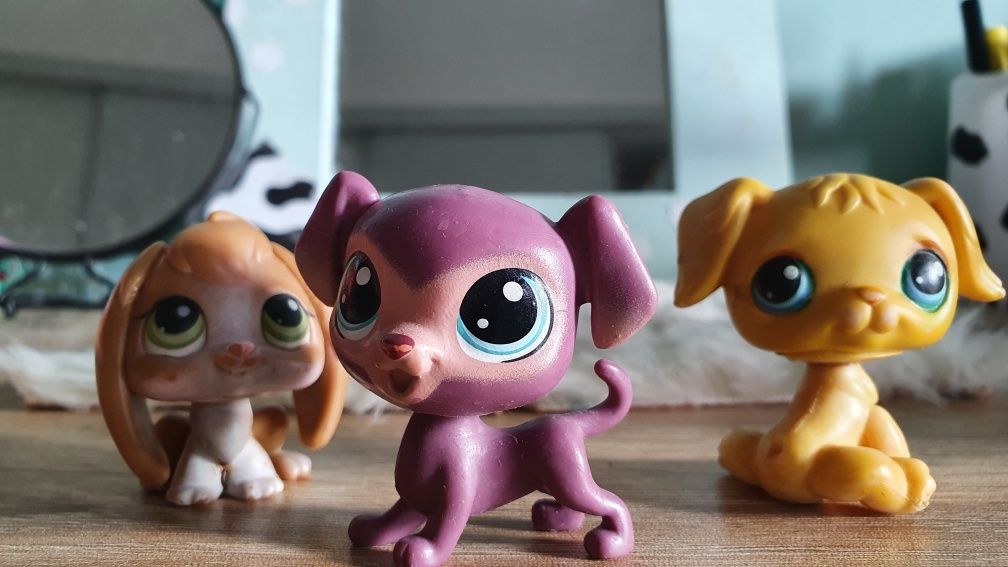 Littlest pet shop 3 szt