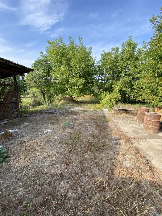 Продам будинок у передмісті Берегова