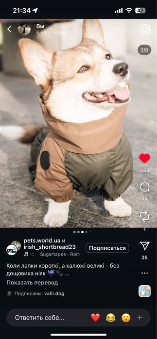 Комбінезон дощовик для собаки песика коргі такса