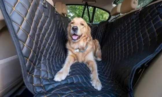 Індивідуальне перевезення ТВАРИН по Україні і за кордон