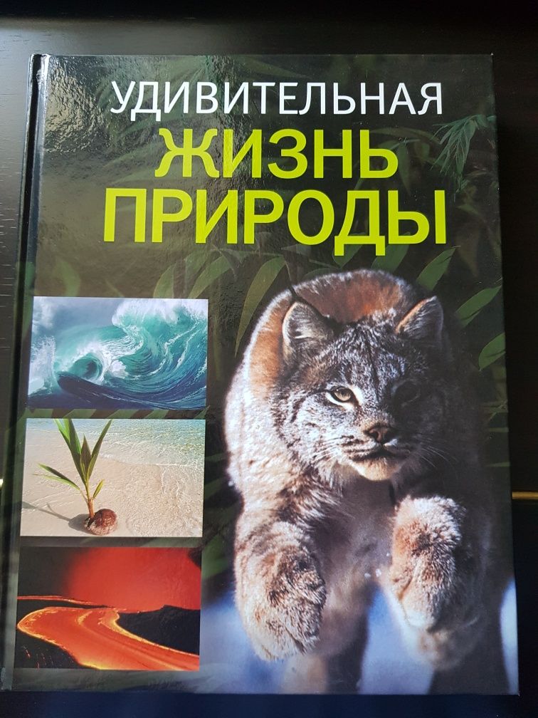 Книга Удивительная жизнь природы.
