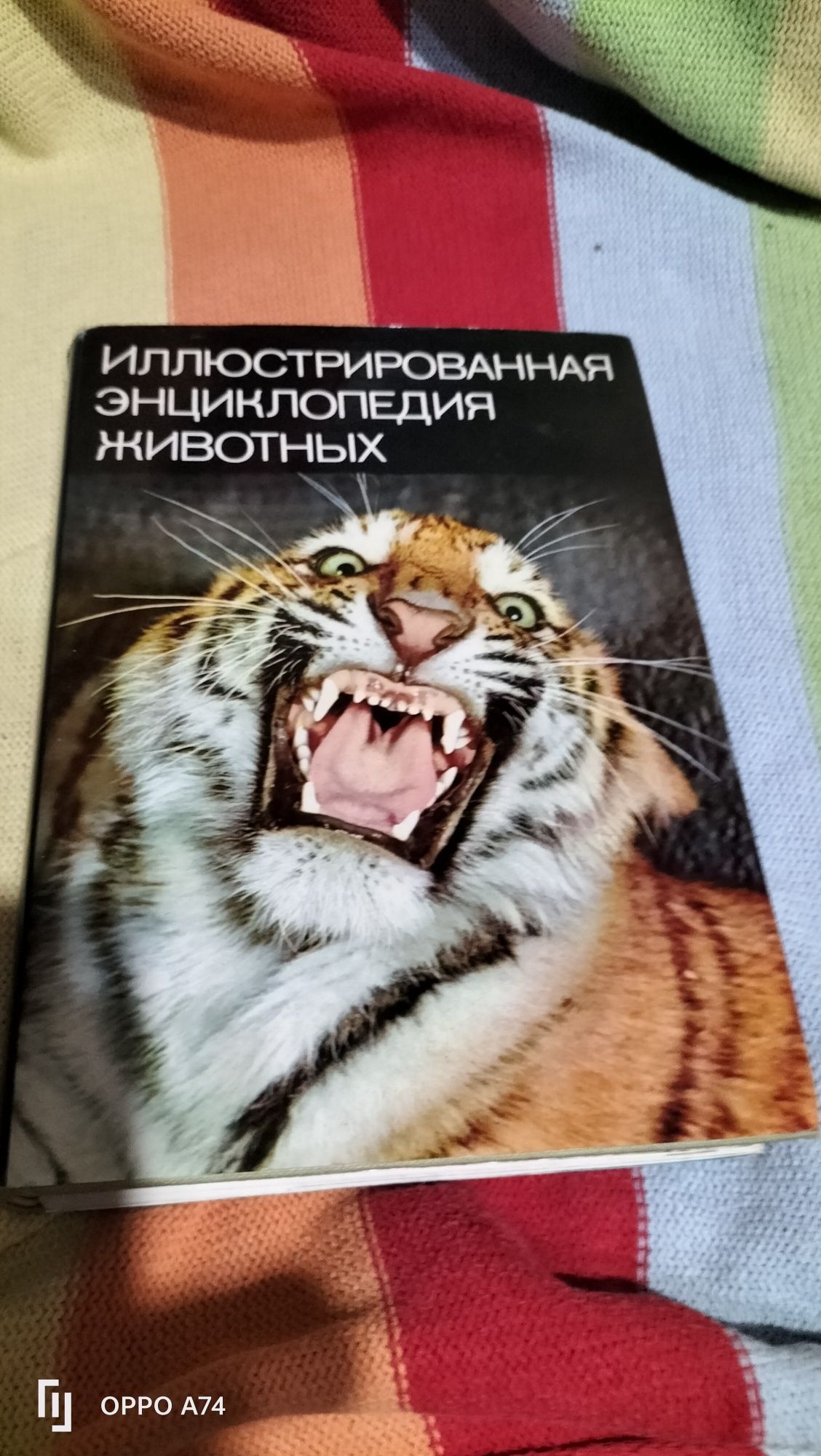 Книги В'язання, лікарські рослини, кулінарія,Солодке печиво Цвек