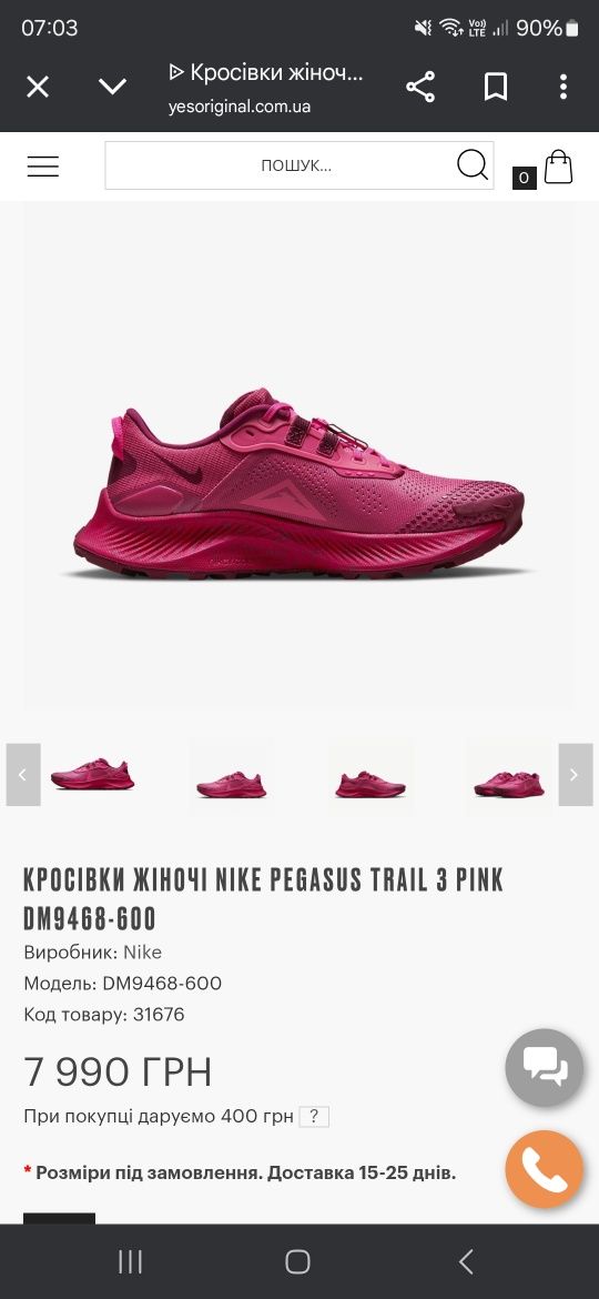 Nike Pegasus Trail 3 Gore tex